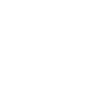 Icon Kamera