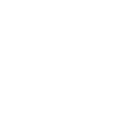 Icon Website